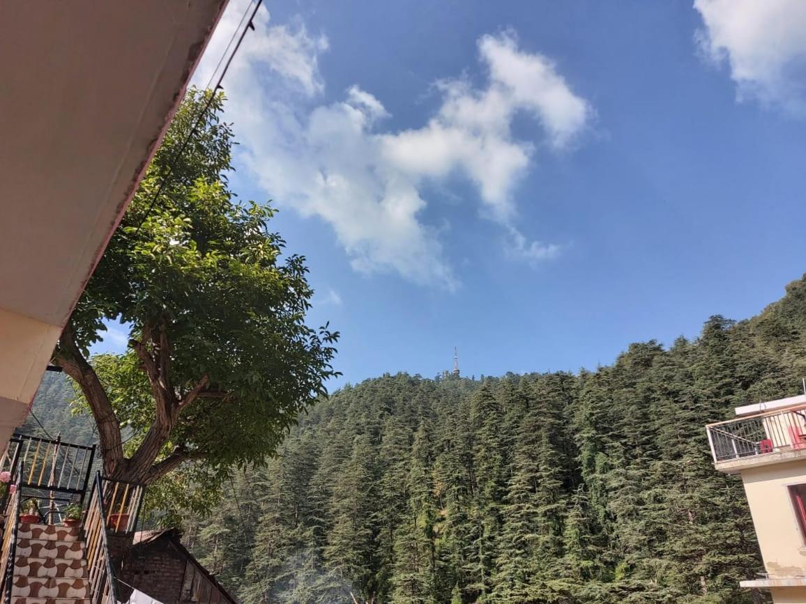 Shimla Pines Homestay מראה חיצוני תמונה