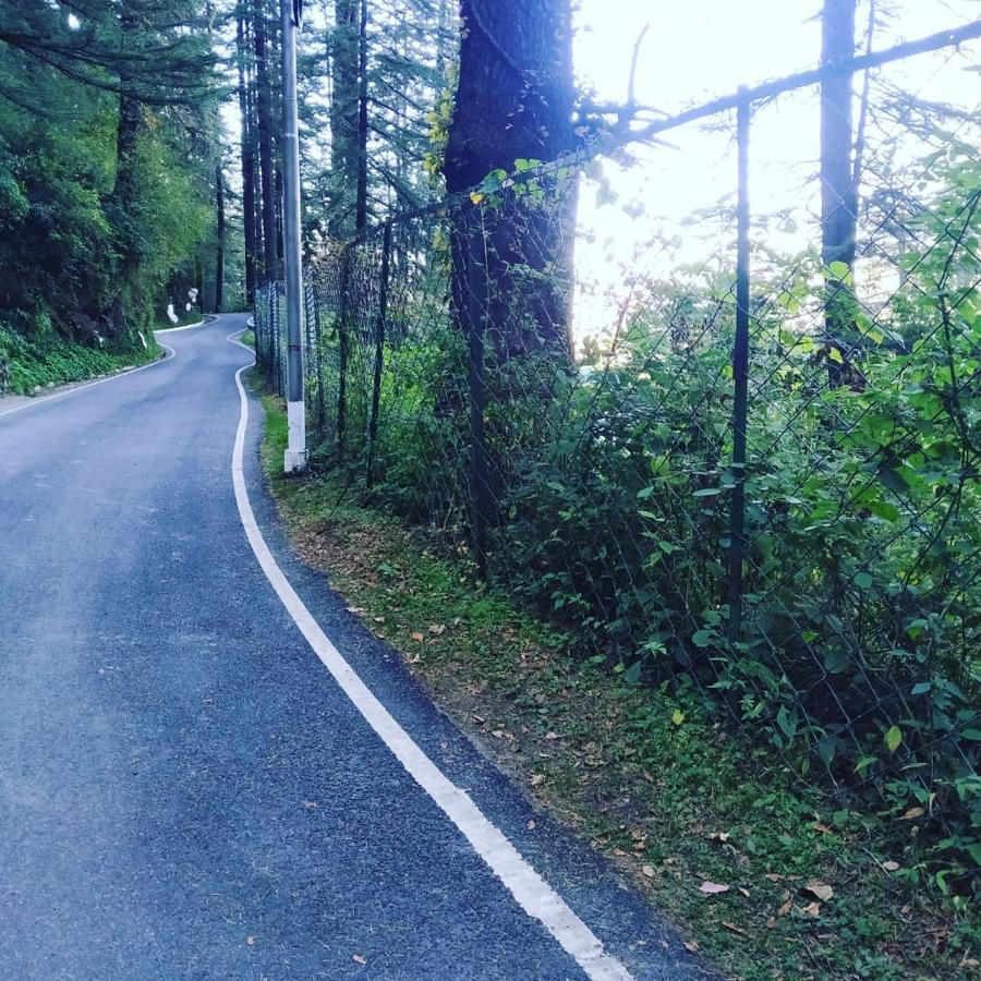 Shimla Pines Homestay מראה חיצוני תמונה